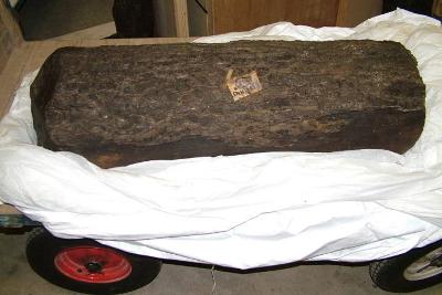 A timber from Seahenge